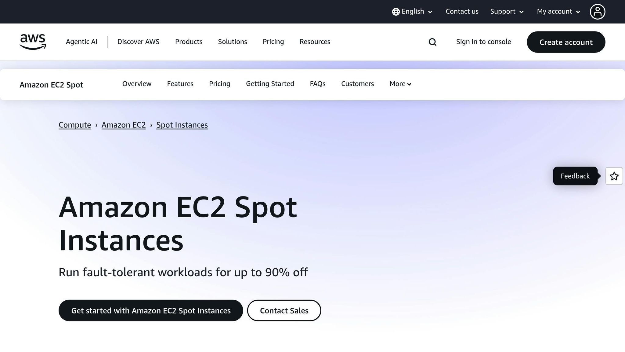 AWS Spot Instances