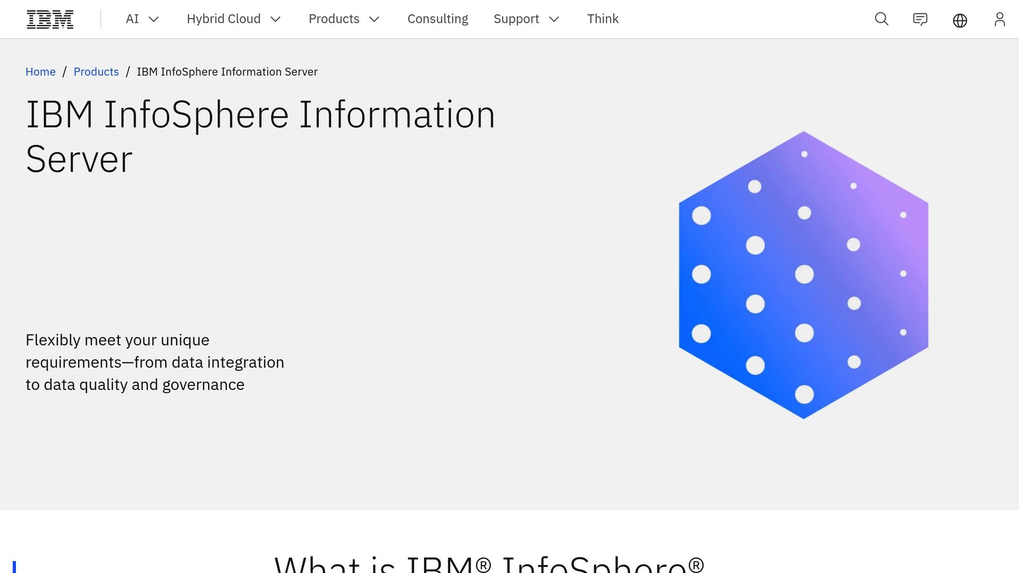 IBM InfoSphere
